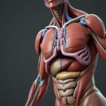 découvrez les parties du corps humain méconnues dont le nom commence par la lettre q. explorez cette liste surprenante et enrichissez vos connaissances en anatomie !