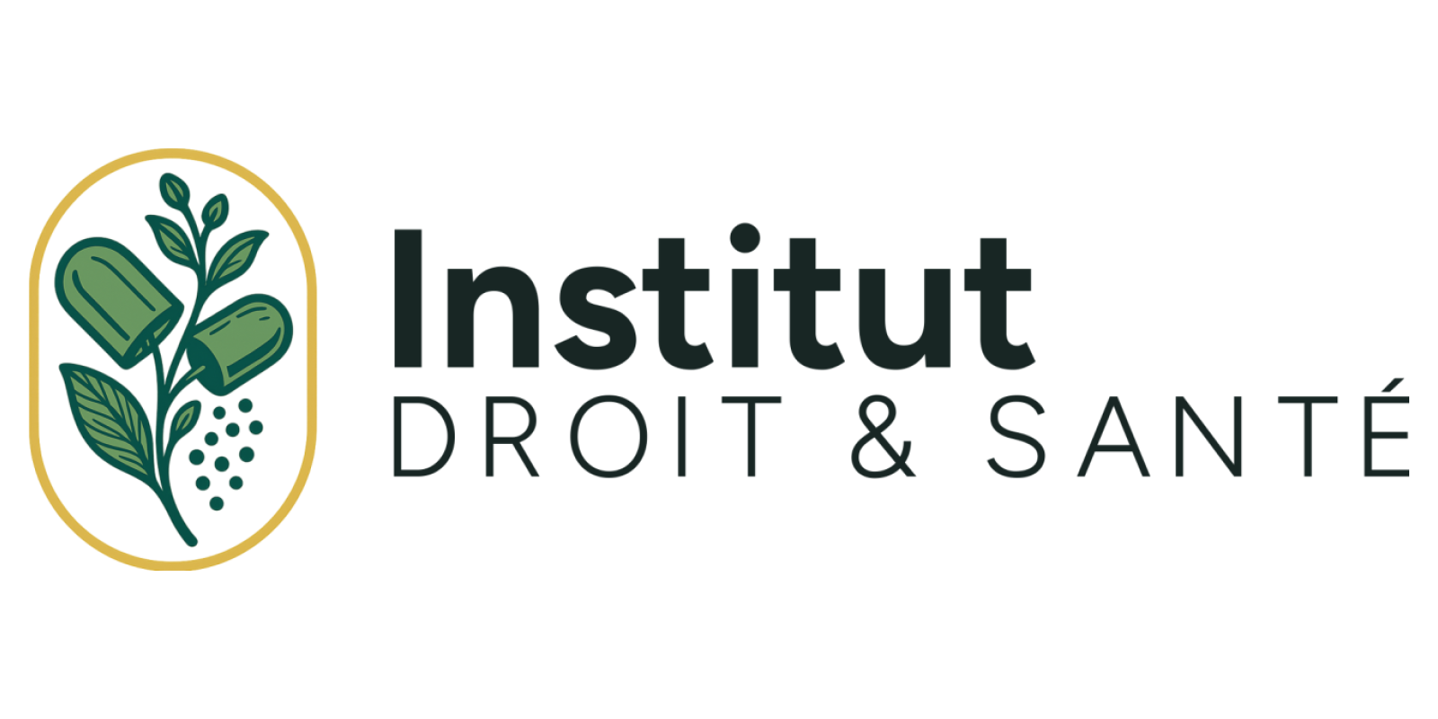 Institut Droit & Santé